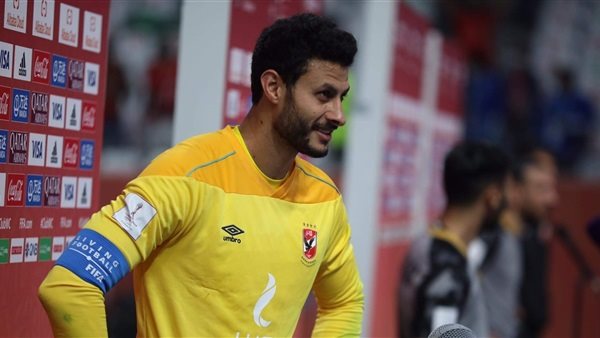 محمد الشناوي 