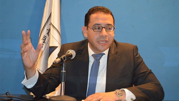 عمرو حسن، مقرر المجلس