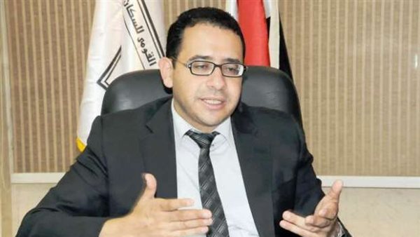 عمرو حسن، مقرر المجلس