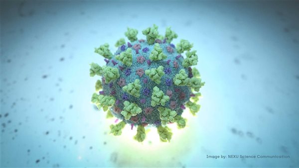 كورونا في العالم