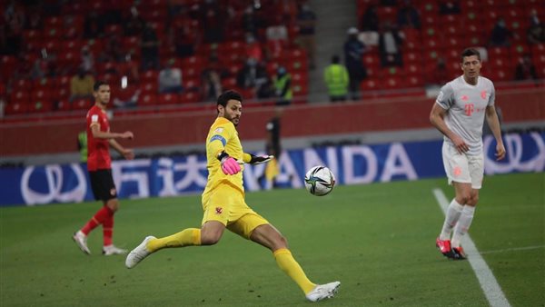 محمد الشناوي 