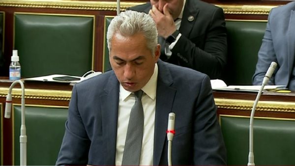 النائب عمرو السنباطي