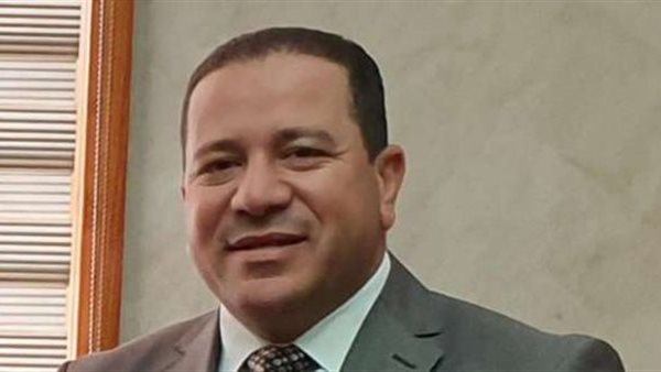  محمود فؤاد، نائب