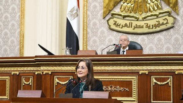 وزيرة التخطيط