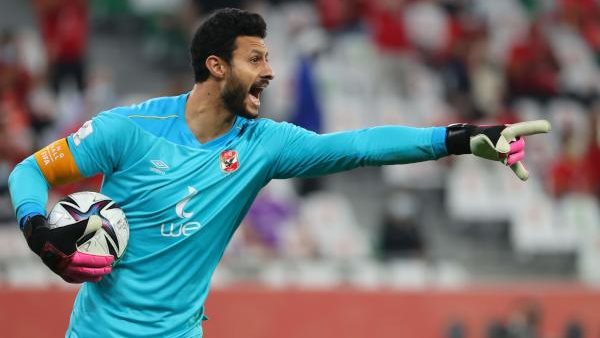 محمد الشناوى