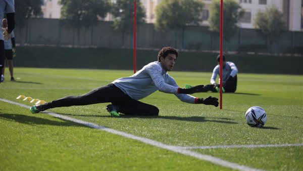 مصطفى شوبير 