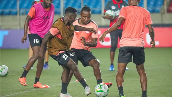 سيمبا التنزانى