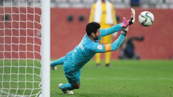 محمد الشناوي