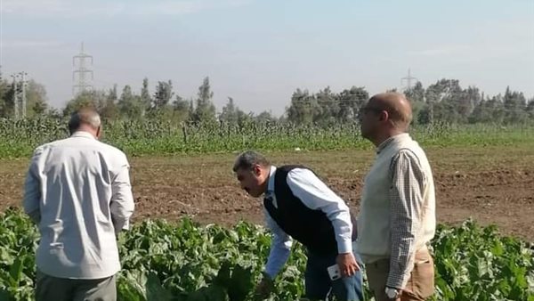 جانب من الحدث