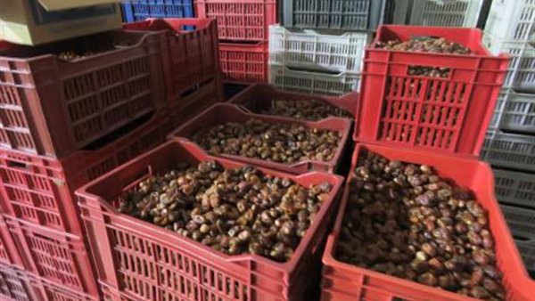 جانب من المضبوطات