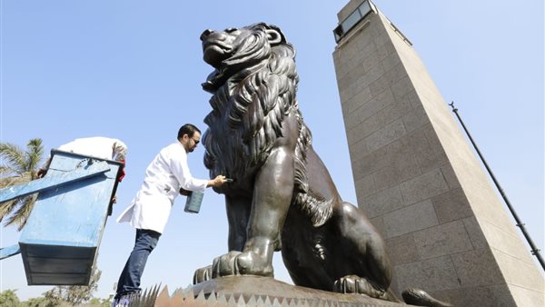 جانب من الحملة