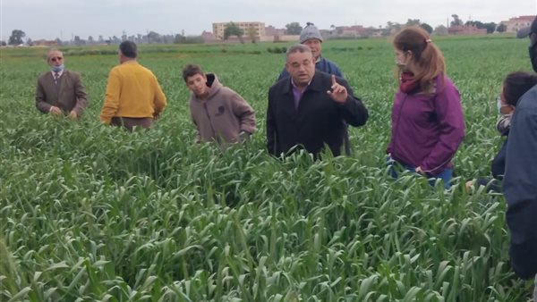 جانب من الحدث