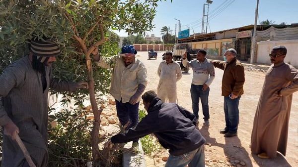 جانب من الحملة