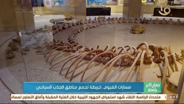 صورة من الفيديو