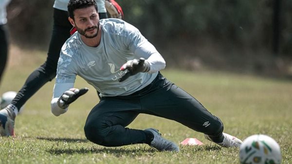 محمد الشناوي