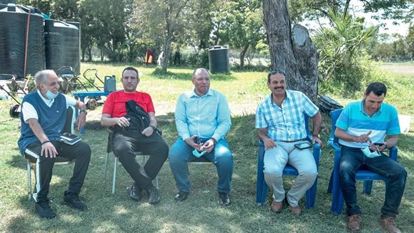 محمد الدماطي