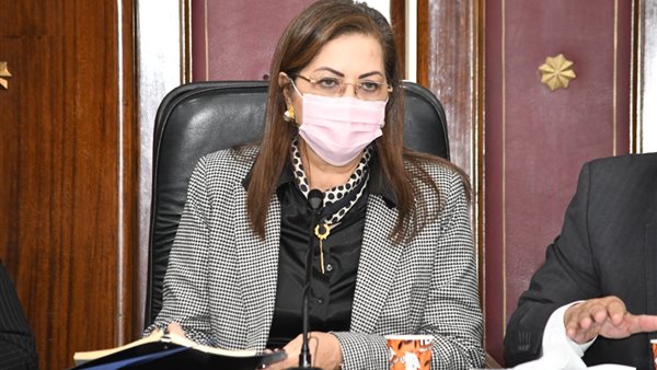 وزيرة التخطيط 