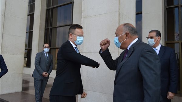 سامح شكرى يستقبل