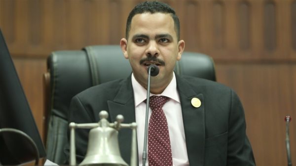 النائب أشرف رشاد