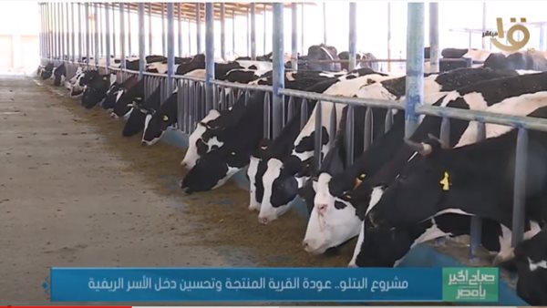 جانب من التقرير