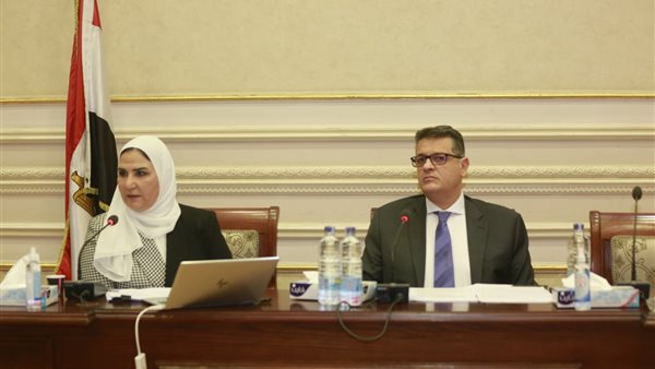 نيفين القباج وزيرة