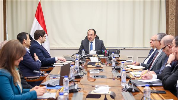 وزير قطاع الأعمال