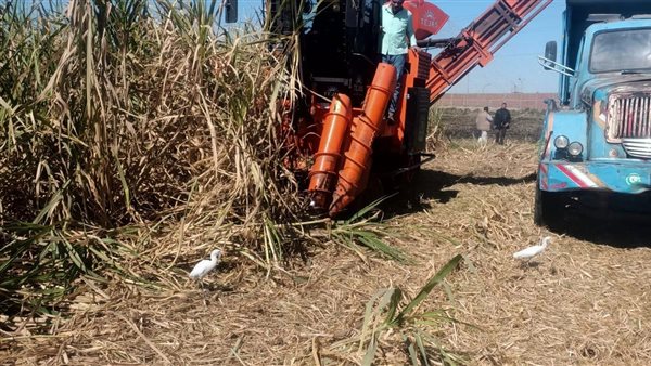 ماكينة حصاد محصول