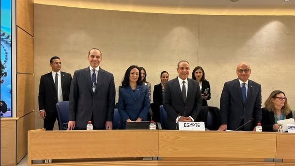 المستشار محمود فوزي