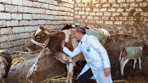 تنفيذ حملة تحصين