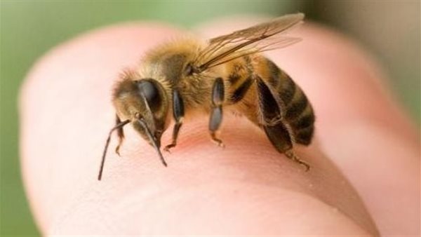 تعرف على فوائد قرصة