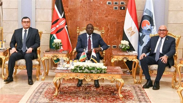 رئيس الهيئة العربية