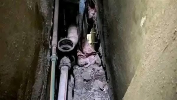 الطفل الضاحية 