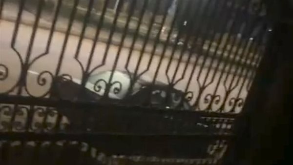 صورة اختطاف 