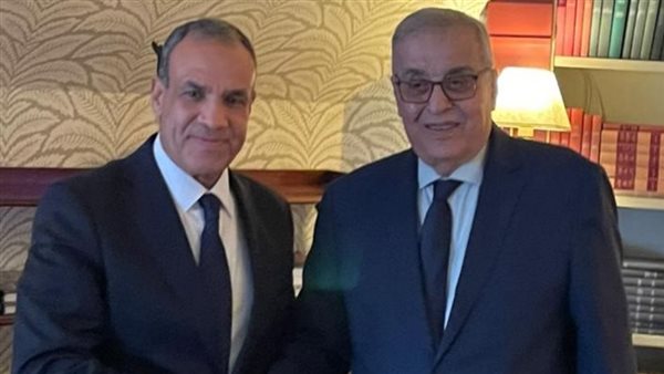 وزير الخارجية يلتقي