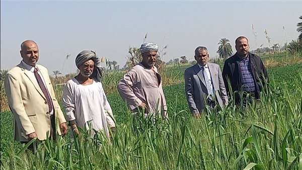 جانب من الفاعليات