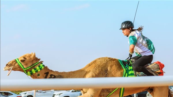  سباق الهجانة