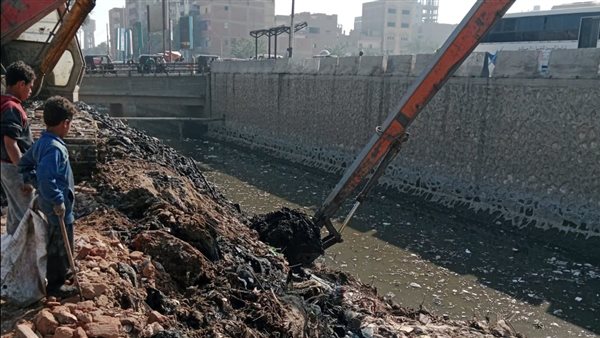 جانب من الفاعليات