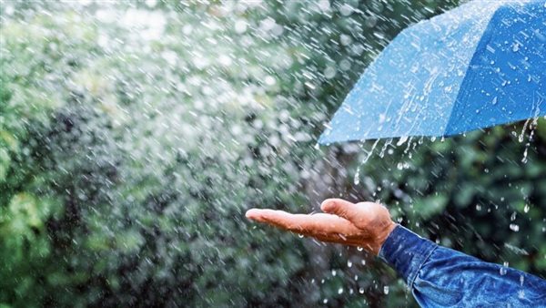 تفسير رؤية المطر