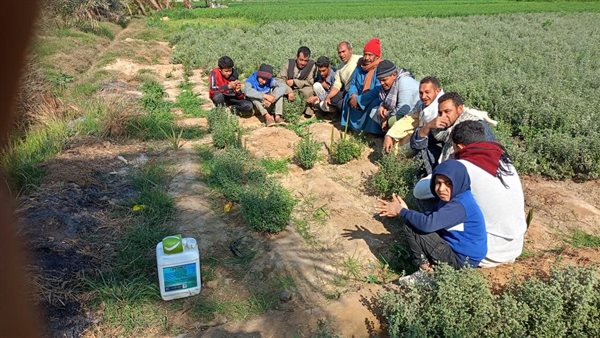 مدرسة حقلية