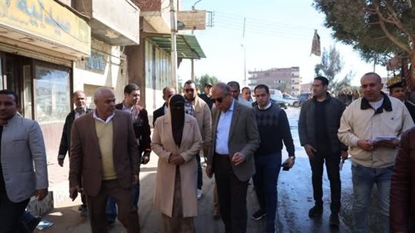 محافظ المنيا