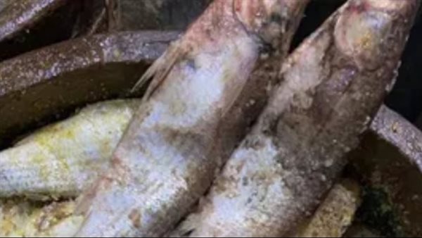 أعراض مرض التسمم