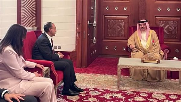 لقاء وزير الخارجية