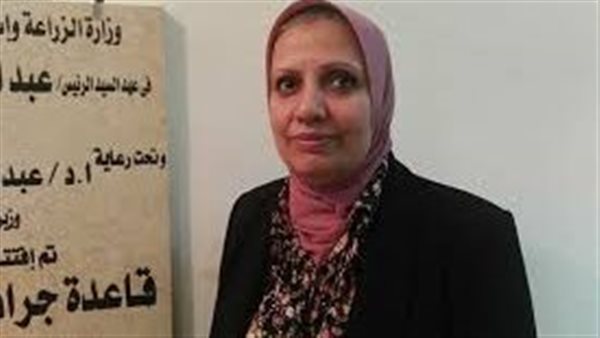 الدكتور نجلاء بلابل