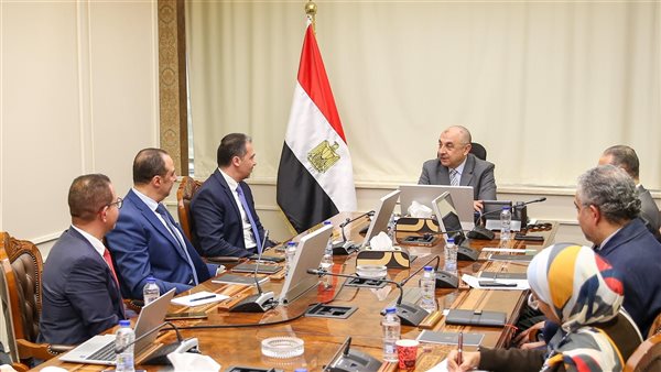 وزير قطاع الأعمال