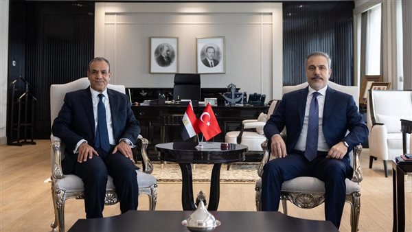 وزير الخارجية المصري