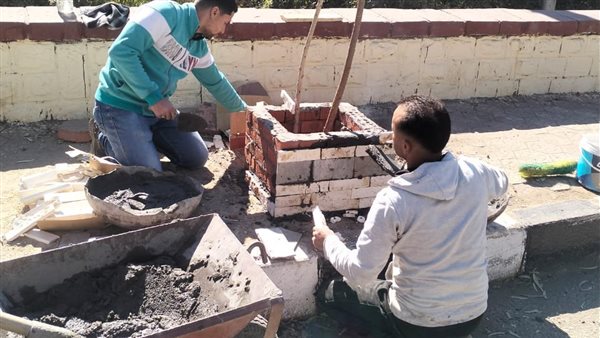  زراعة الأشجار