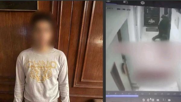 سارق عقار بحدائق