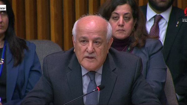 مندوب فلسطين بالامم