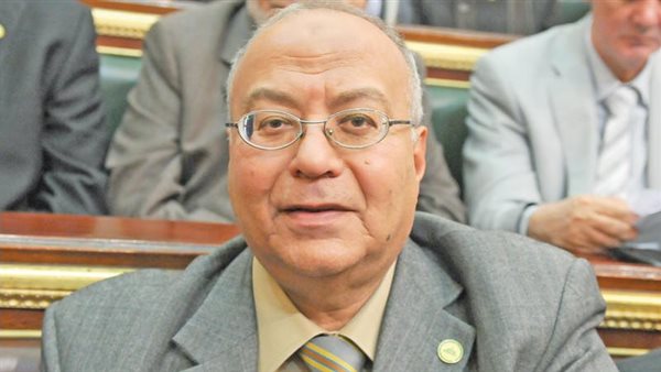 الدكتور محمد السعيد