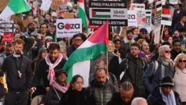 نشطاء مؤيدون للفلسطينيين